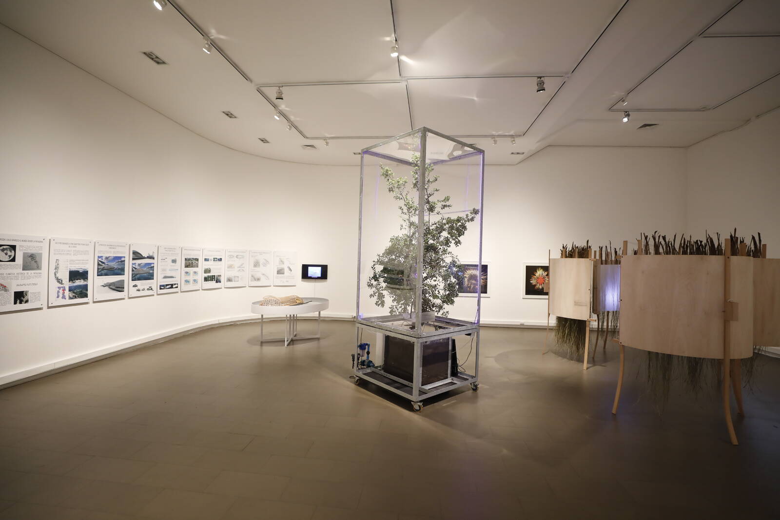 Work in Progress: Crisis climática